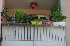 Balkonaufhaengung urban gardening